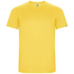 Imola short sleeve men's sports t-shirt