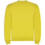 Clasica kids crewneck sweater