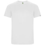Imola short sleeve men's sports t-shirt