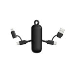 Urban Vitamin Dublin 100W 4 -in-1 keychain cable