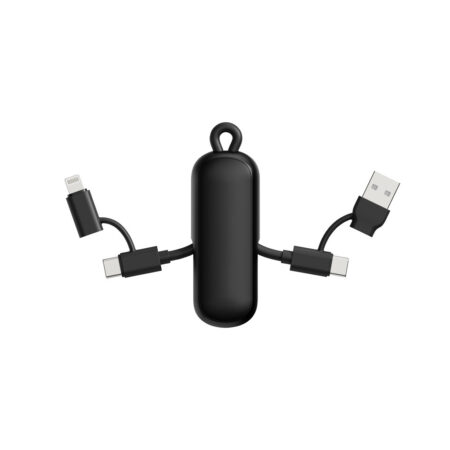 Urban Vitamin Dublin 100W 4 -in-1 keychain cable